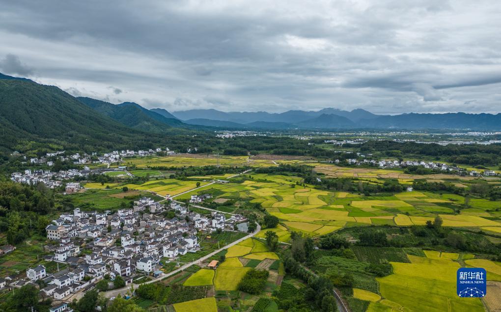 在线购彩信誉平台